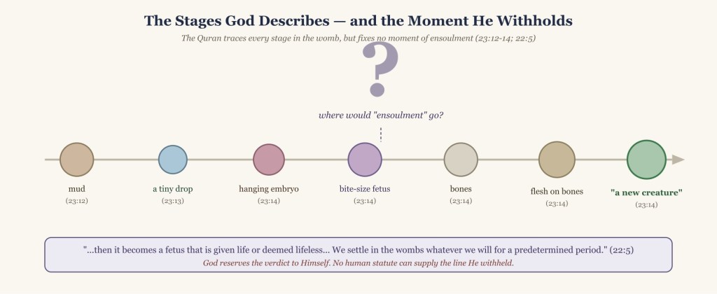 Diagram 2 — Embryology stages & withheld ensoulment (22:5)