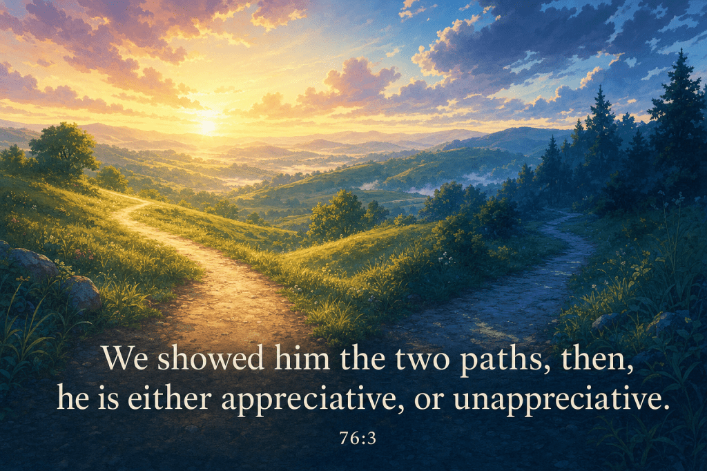 Verse card rendering 76:3 - appreciative or unappreciative