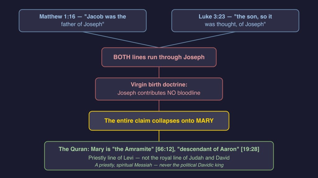Diagram 1 — Where the Davidic Claim Dies (Matthew/Luke → Joseph → virgin birth → claim collapses onto Mary)