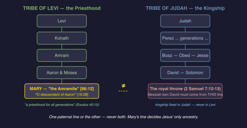 Diagram 2 — Two Tribal Lines: Levi→Amram→Aaron (priesthood) vs Judah→Jesse→David (kingship)