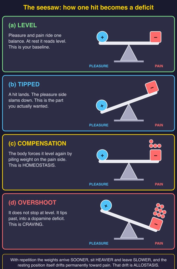 Diagram: The seesaw in four panels (level, tipped, compensation, overshoot)