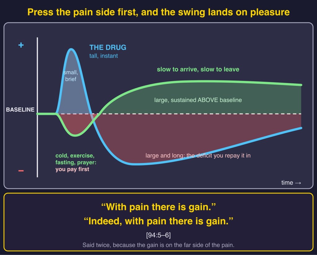Diagram: Instant pleasure hit leading to deep deficit vs pressing pain first leading to sustained gain [94:5-6]