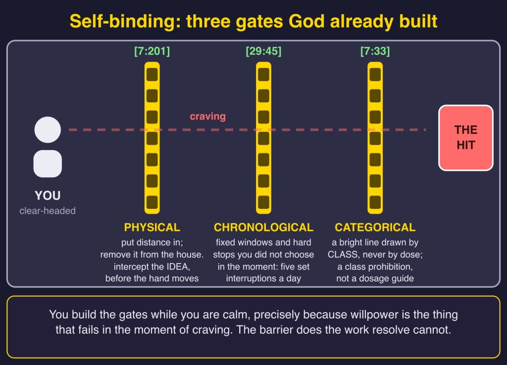 Diagram: Three self-binding gates (Physical [7:201], Chronological [29:45], Categorical [7:33])