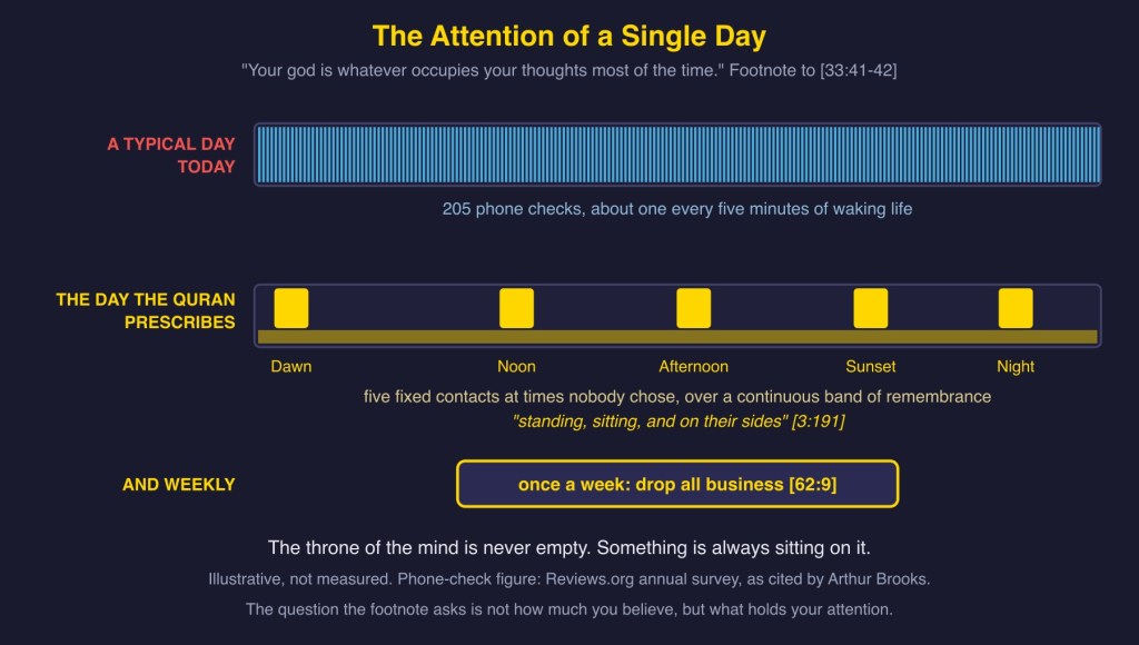 Diagram 5: the attention of a single day, 205 phone checks against five fixed Contact Prayers.